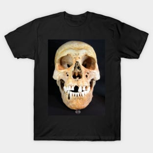 Skull T-Shirt